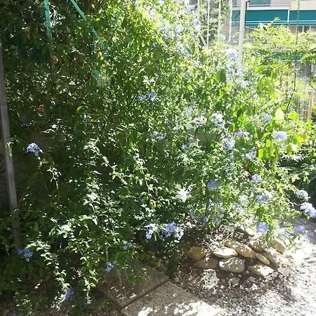 Monolocale Con Giardino 100mt/mare *